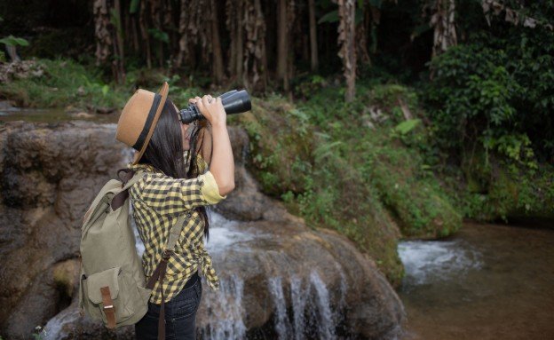 Follow Ethical Wildlife Photography Rules