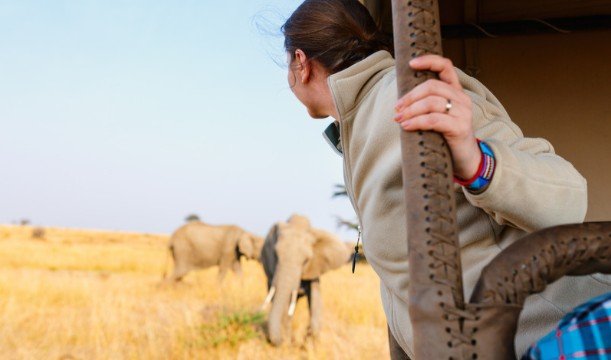 How Does Tourism Put Endangered Wildlife at Risk