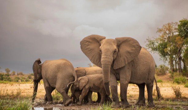 How to Visit National Parks Responsibly
