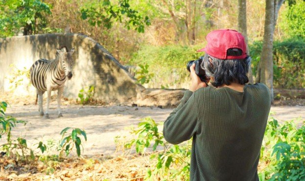 Identify Signs of an Unethical Wildlife Experience