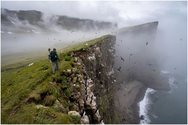 Hornstrandir Nature Reserve, Iceland: Complete Roadless Autonomy